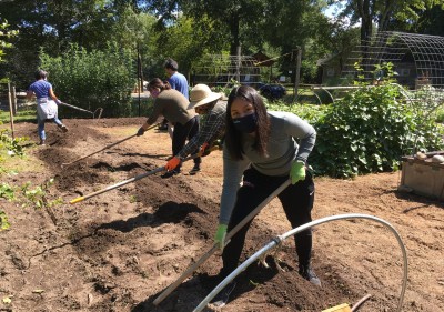 A student uses a hoe to plant in the Carolina Community Garden.
