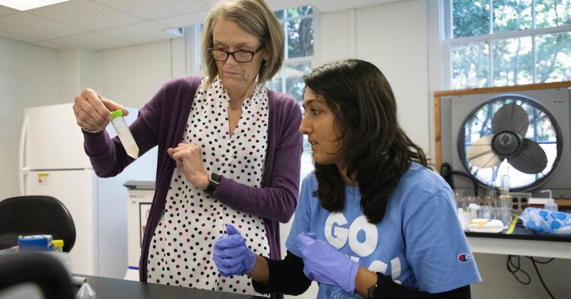 Barbara Stegenga talks to Ankita Chopde during the CURE course "Hunting for Microbes" on September 11, 2019. The students gathered soil from home or campus and treated the samples with other products, like sunscreen or even hot dog water, to see how microbes in the soil will interact or change due to those treatments. (Megan May/UNC Research)